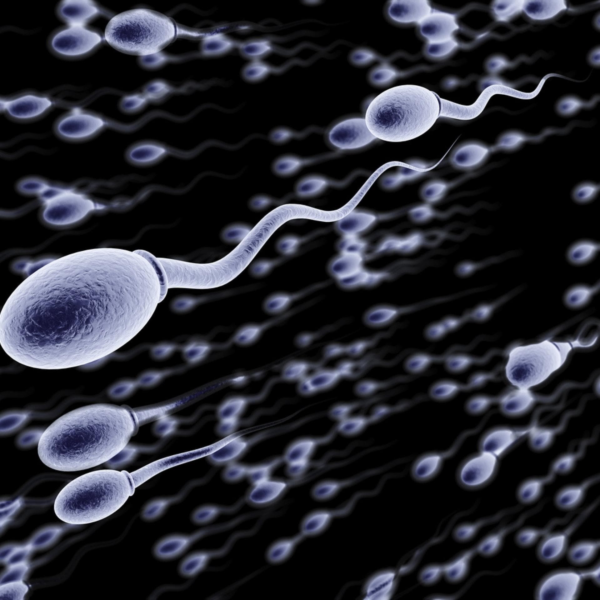Sie Glaubt Dass Sperma Ihr Sexuelle Energie Gibt Sie Glaubt Dass Sperma Ihr Sexuelle Energie Gibt